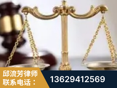 惠州-委托诉讼代理人出庭